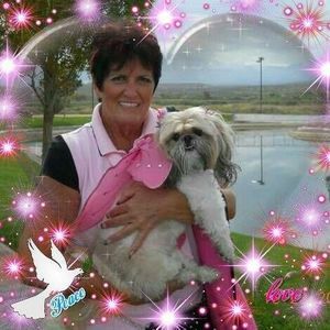 Meet your Posher, Connie